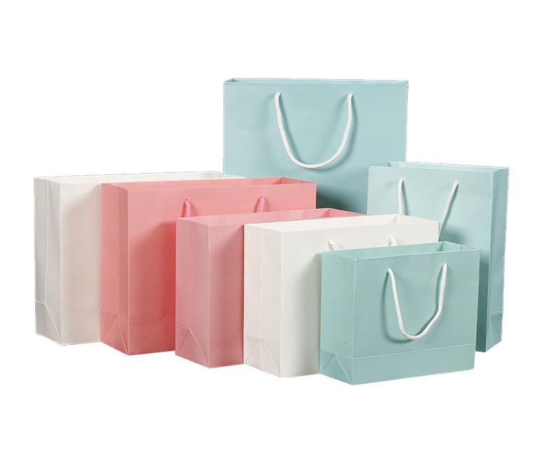 Shopping Paper Bag/Gift Paper BagSB-C